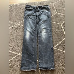 American Eagle Original Straight Flex Fit Jean